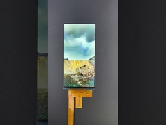 6インチ 1080*2160 解像度 lcd tft モジュール MIPI インターフェイス ドライビング IC HX8399C