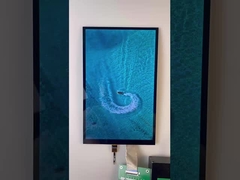 10.1 インチバータイプ TFTディスプレイ 1200*1920 解像度 MIPI インターフェース 1000cd/M2