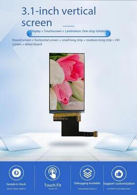 3.1" IPS TFT Module,480X800 Resolution,MIPI/RGB Interface, ALL VIEW,350nit,16.7M, 6LEDS,High quality security screen